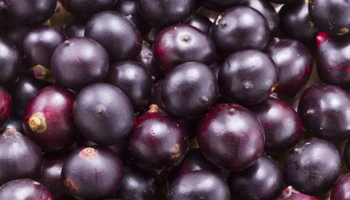 acai-beneficios-e-composicao