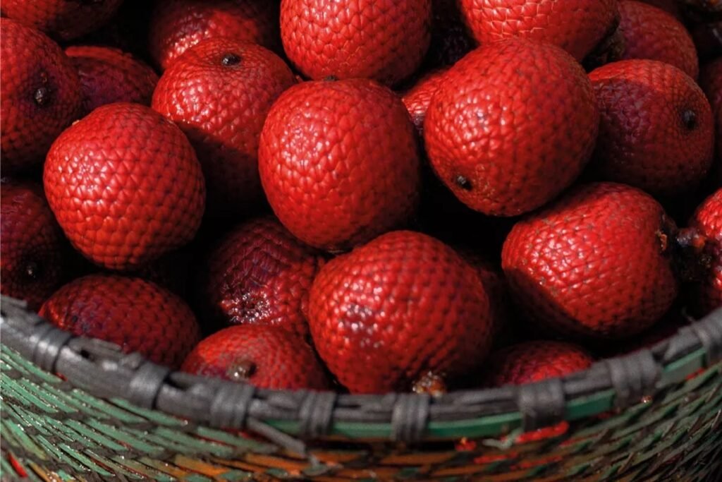 buriti-beneficios-e-composicao