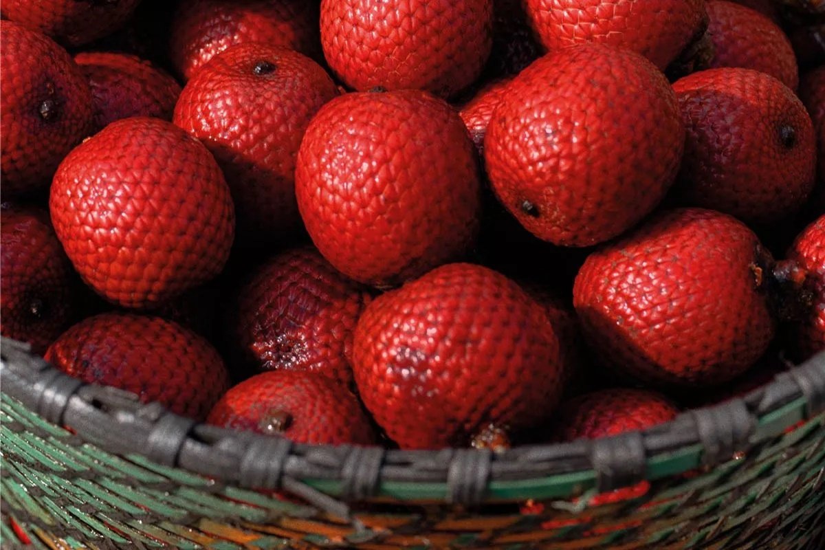 buriti-beneficios-e-composicao