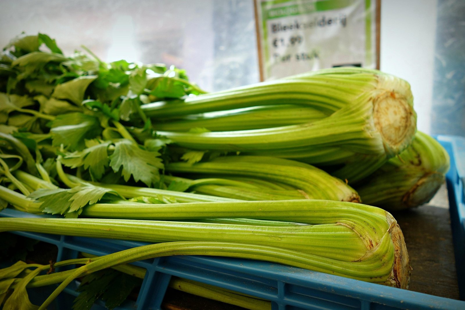 Aipo é crocante e leve, rico em água, fibras, potássio e vitamina K. Veja benefícios, como consumir e tabela nutricional por 100 g.
