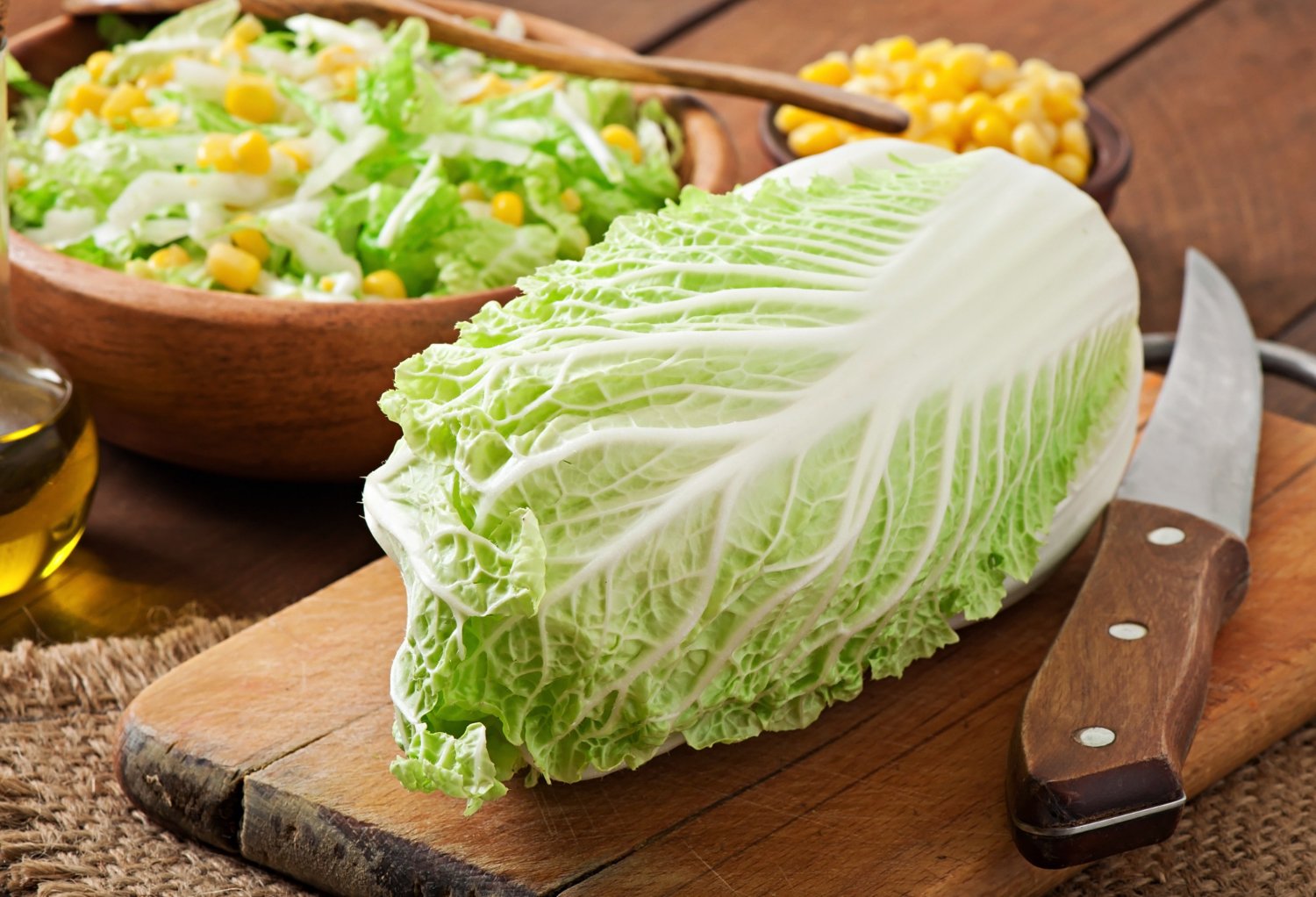 acelga-usos-e-beneficios — maço de acelga fresca com talos claros e folhas verdes brilhantes