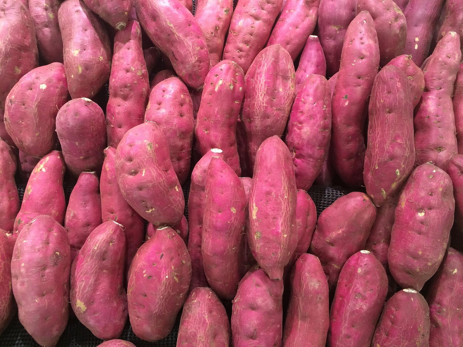 batata-doce benefícios - como consumir batata-doce - valor nutricional batata-doce - receitas com batata-doce - batata-doce assada - purê de batata-doce