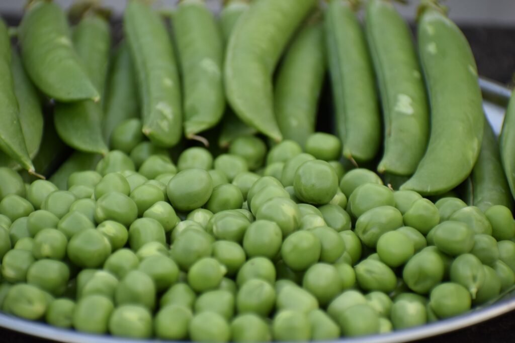 benefícios da ervilha – proteína de ervilha – valor nutricional ervilha – sopa de ervilha – como plantar ervilha – receita com ervilha