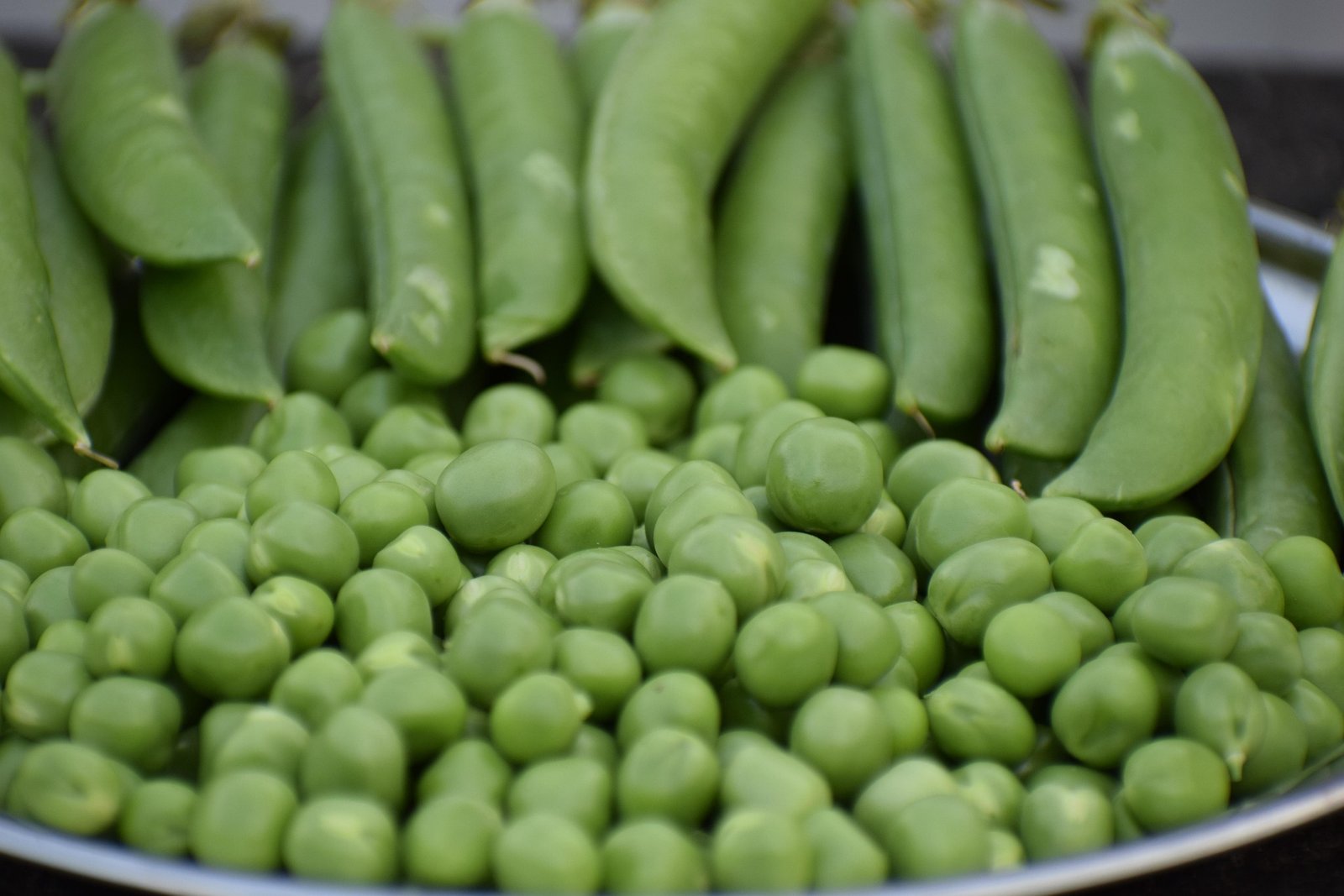 benefícios da ervilha – proteína de ervilha – valor nutricional ervilha – sopa de ervilha – como plantar ervilha – receita com ervilha