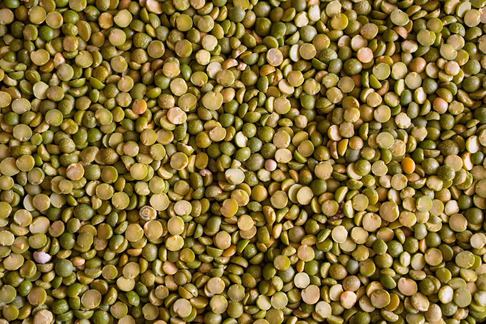 benefícios da lentilha – como cozinhar lentilha – valor nutricional da lentilha – dal de lentilha – salada de lentilha – proteína vegetal lentilha