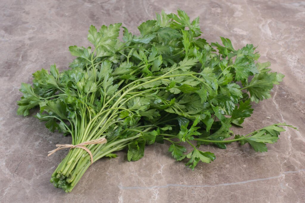 Salsa: perfume verde que equilibra e conforta