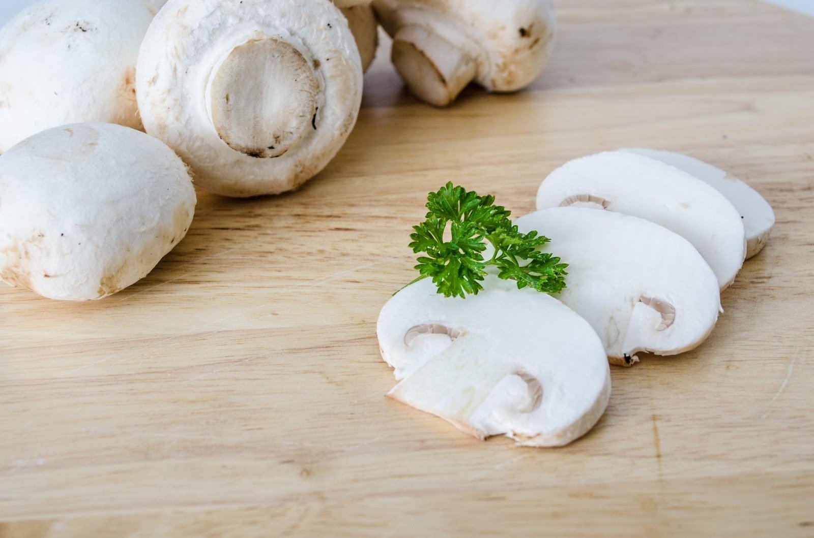 benefícios do cogumelo – como preparar cogumelo – valor nutricional cogumelo – receita com cogumelo – cultivo de cogumelos – vitamina D no cogumelo