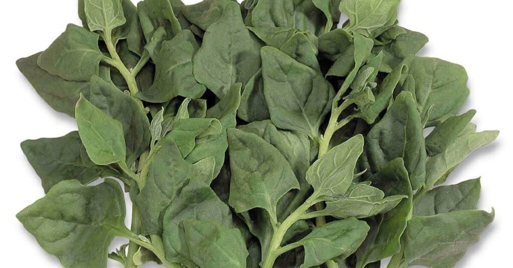 benefícios do espinafre – como preparar espinafre – valor nutricional espinafre – suco verde de espinafre – espinafre refogado – cultivo de espinafre