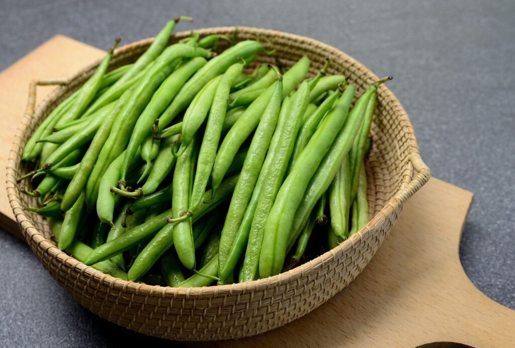 benefícios do feijão-vagem – como preparar feijão-vagem – valor nutricional feijão-vagem – receita com feijão-vagem – cultivo de feijão-vagem – picles de feijão-vagem