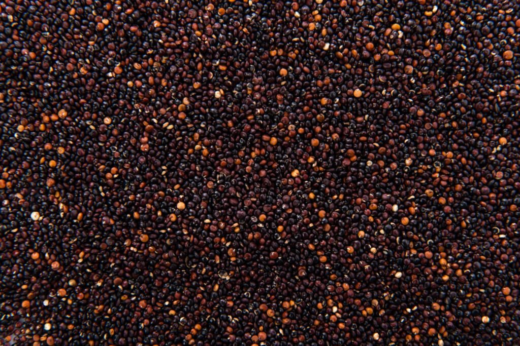 benefícios do kaniwa – como preparar kaniwa – valor nutricional kaniwa – receita com kaniwa – cultivo de kaniwa – proteína vegetal kaniwa