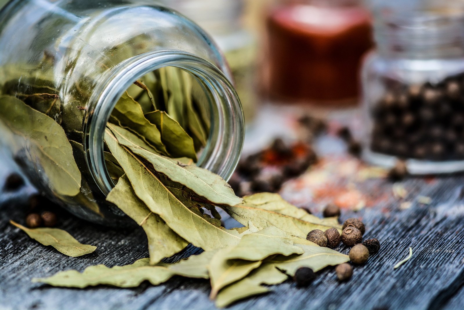 benefícios do louro – chá de louro – folha de louro – valor nutricional do louro – como usar louro – cultivo de louro