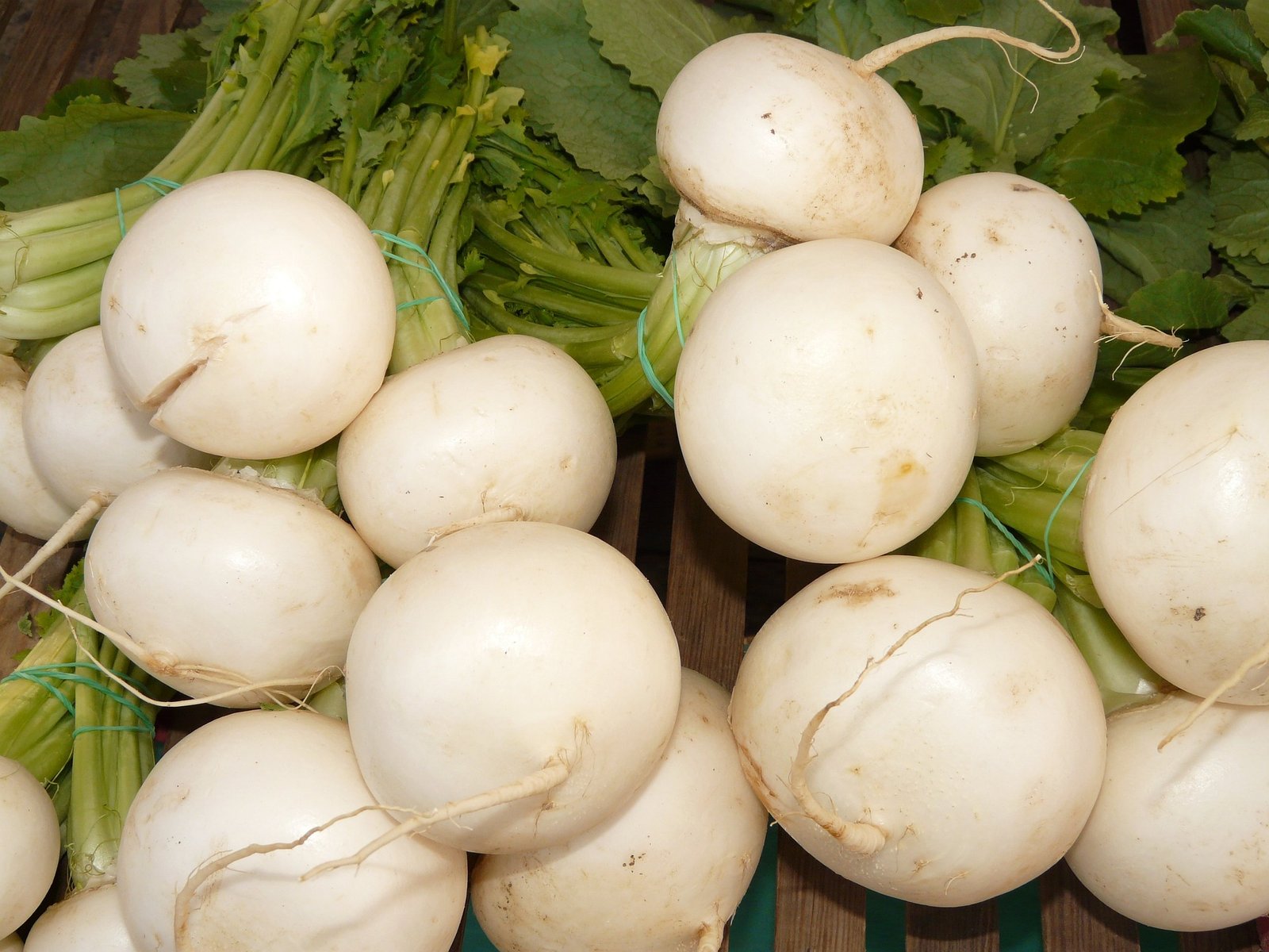 benefícios do nabo – como preparar nabo – folhas de nabo – valor nutricional do nabo – receita com nabo – cultivo de nabo