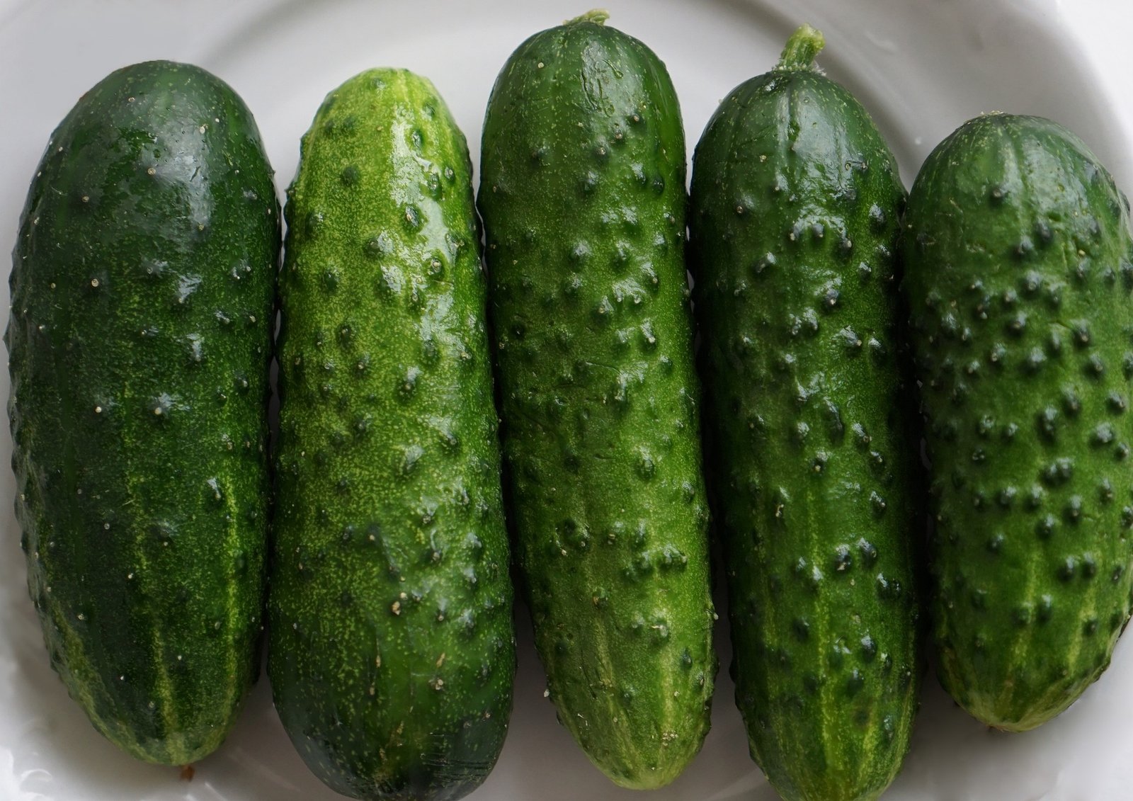 benefícios do pepino – como preparar pepino – valor nutricional pepino – picles de pepino – receita com pepino – pepino para hidratação