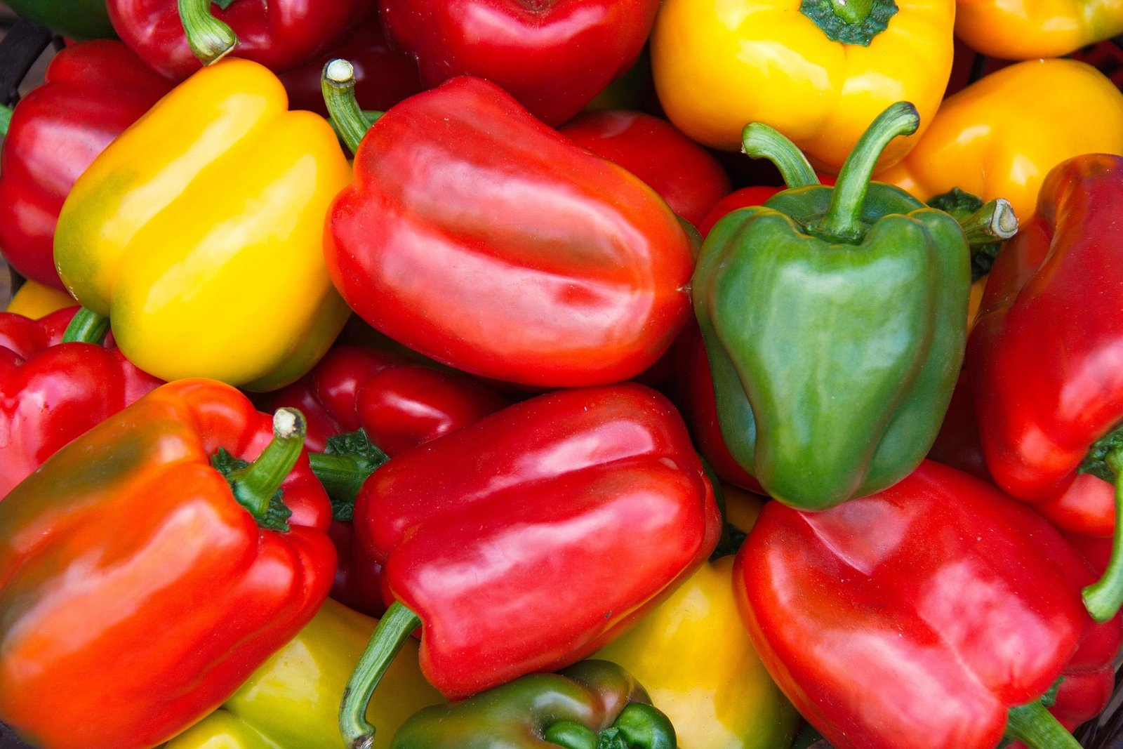 benefícios do pimentão – como preparar pimentão – valor nutricional pimentão – pimentão assado – pimentão recheado – conserva de pimentão