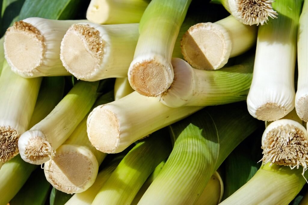 benefícios do puerro – como usar puerro – valor nutricional do puerro – receita com puerro – cultivo de puerro – alho-poró