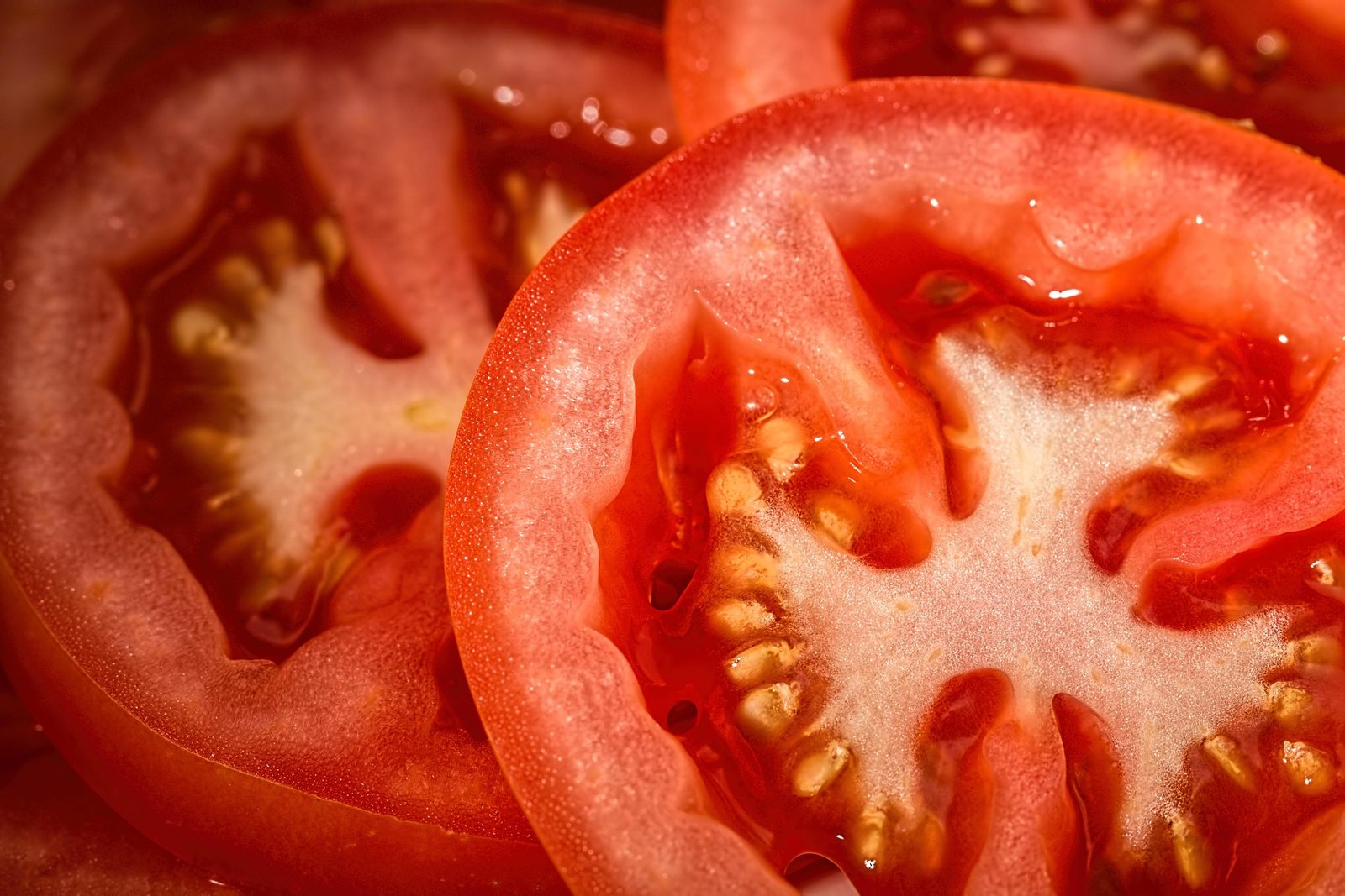 benefícios do tomate – como preparar tomate – valor nutricional do tomate – molho de tomate caseiro – tomate assado – cultivo de tomate