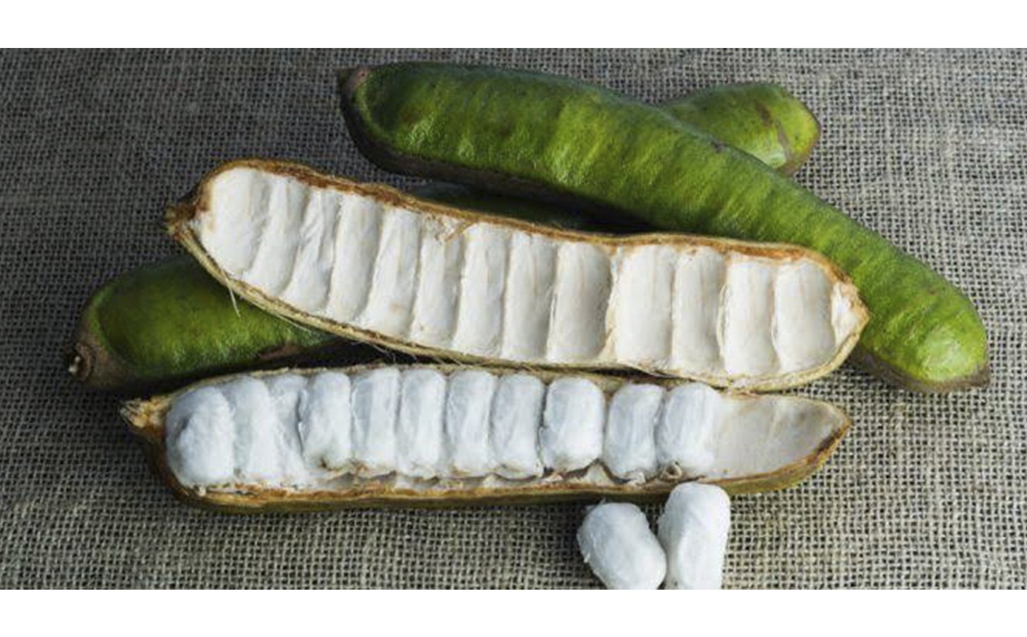 inga-beneficios-e-composicao fruta brasileira doce, rica em água, fibras e vitamina C ideal para digestão e hidratação natural