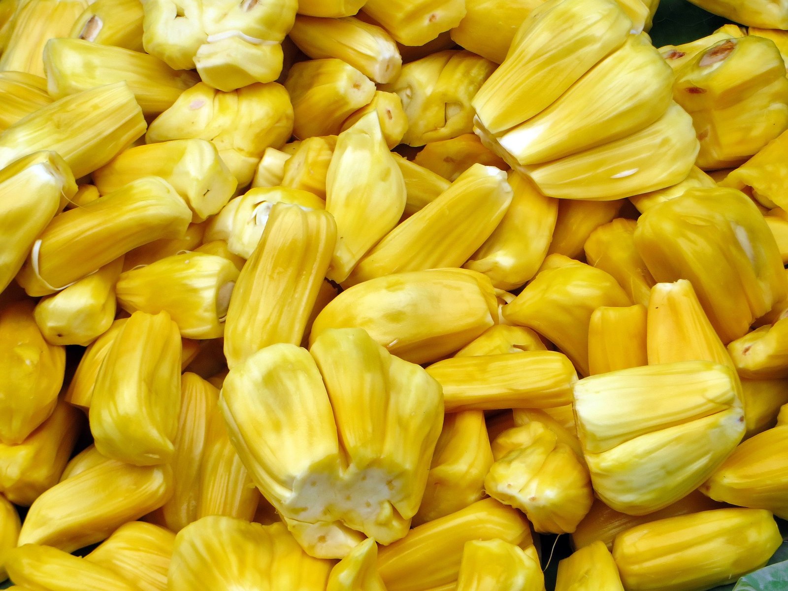 jaca-beneficios-e-composicao fruto grande aberto com gomos amarelos, jaca madura rica em fibras, vitamina C e potássio