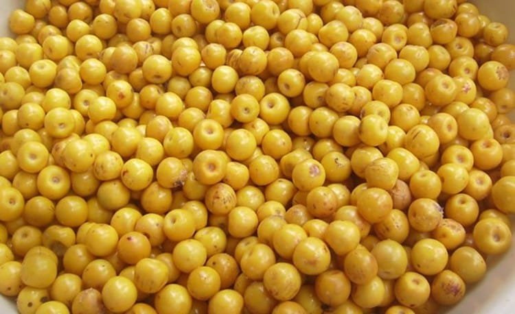 murici-beneficios-e-composicao frutos de murici inteiros e abertos - polpa amarela cremosa - aroma marcante - rico em vitamina C e fibras - ideal para sucos, molhos e doces