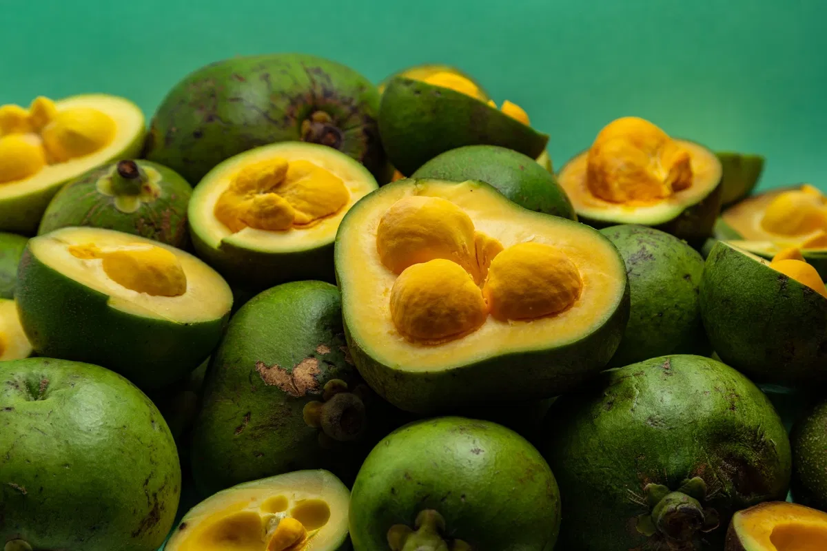 pequi-beneficios-e-composicao frutos de pequi cozidos, polpa dourada rica em carotenóides e fibras - ideal para arroz, caldos, farofas e nhoques