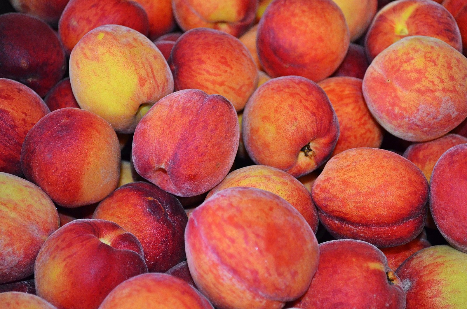 pessego-beneficios-e-composicao fruta suculenta com casca aveludada - rica em água, fibras e vitamina C - ideal para lanches, saladas e sobremesas leves