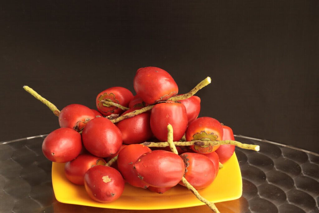 pupunha-beneficios-e-composicao frutos de pupunha cozidos e alaranjados - polpa rica em fibras e carotenóides - ideal para purês, bolinhos e cremes