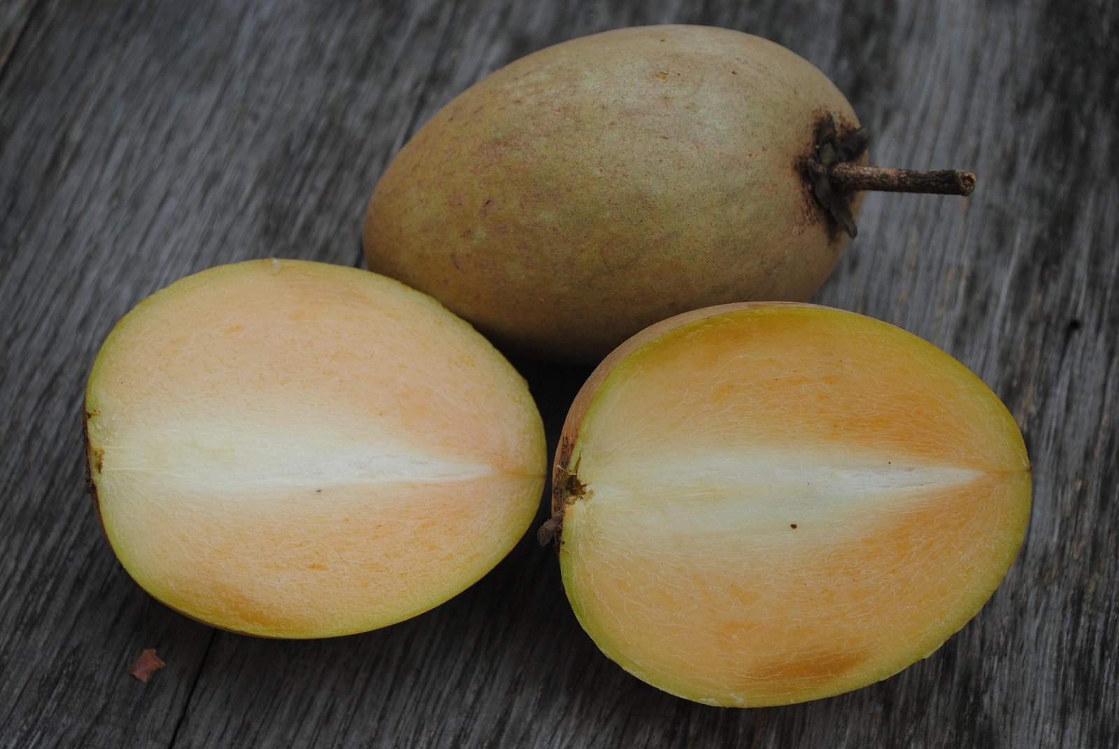 sapoti-beneficios-e-composicao fruta marrom de polpa cremosa e doce - cortes mostrando textura - ideal para vitaminas, sobremesas e molhos