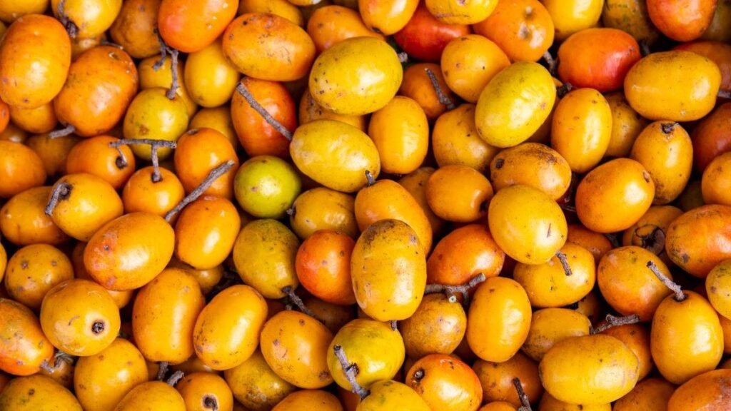 seriguela-beneficios-e-composicao fruta amarela e vermelha suculenta, polpa doce-ácida - close da polpa e porção para sucos, geleias e molhos