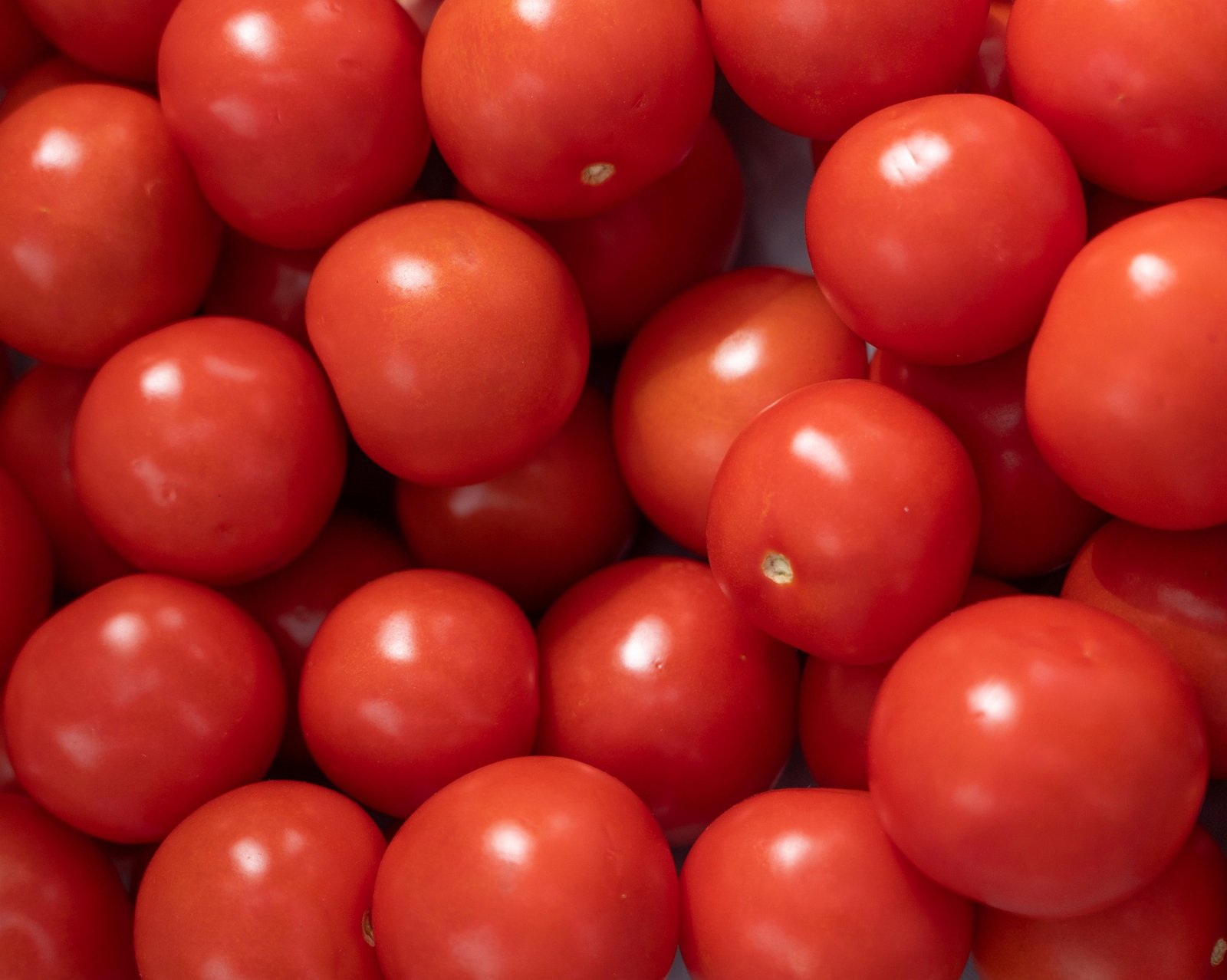 Tomate: nutrição, sabor e saúde no dia a dia