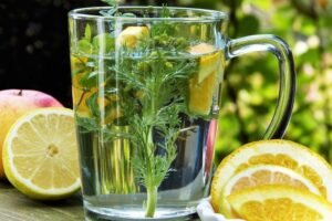 maceracao-blog-nutritivo